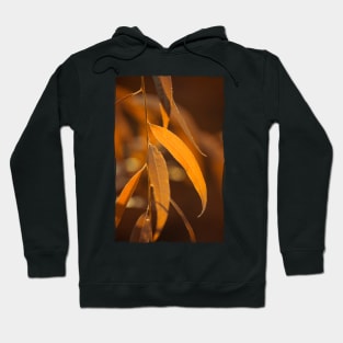 Autumn Leaves Hoodie